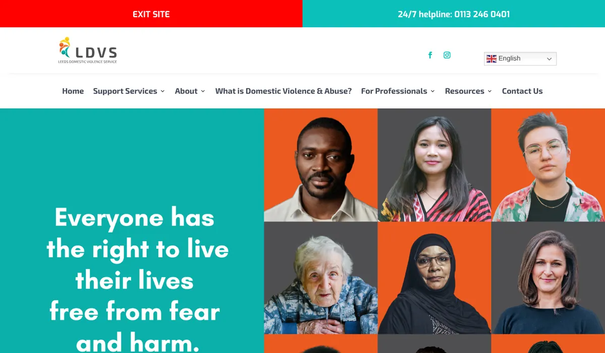Homepage of the LDVS website, designed by FUZZ UK